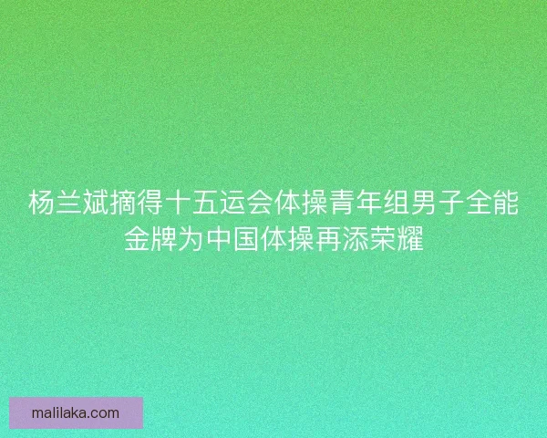 杨兰斌摘得十五运会体操青年组男子全能金牌为中国体操再添荣耀