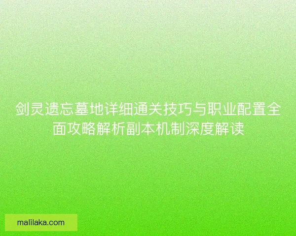 剑灵遗忘墓地详细通关技巧与职业配置全面攻略解析副本机制深度解读