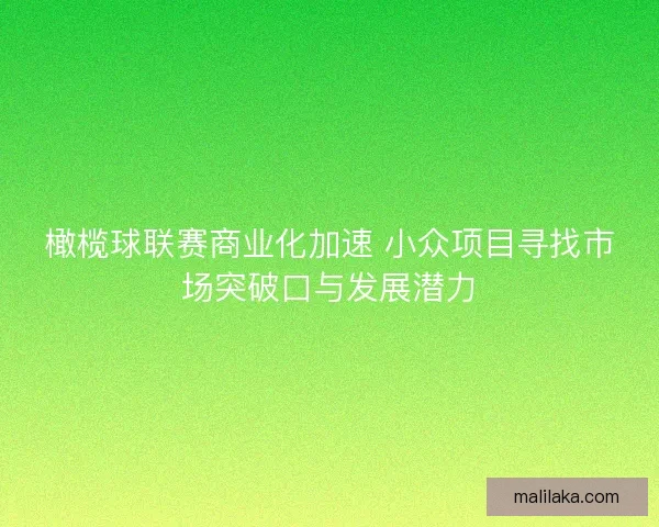 橄榄球联赛商业化加速 小众项目寻找市场突破口与发展潜力