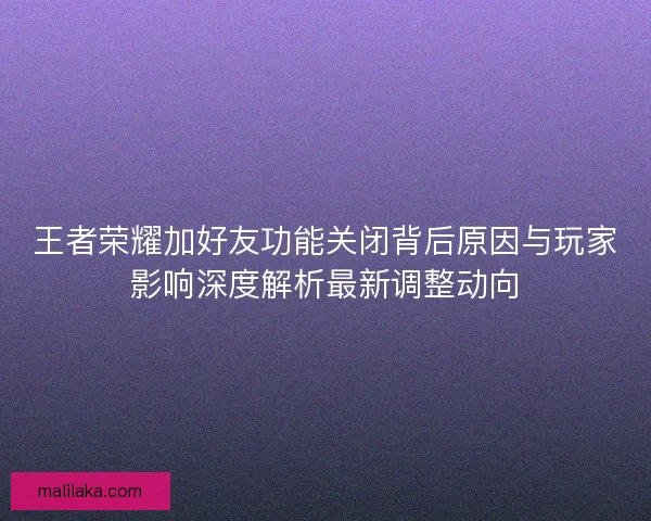 王者荣耀加好友功能关闭背后原因与玩家影响深度解析最新调整动向