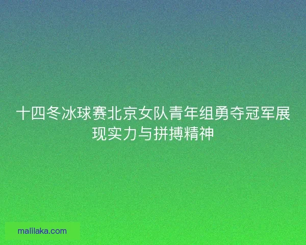 十四冬冰球赛北京女队青年组勇夺冠军展现实力与拼搏精神 十四冬冰球赛北京女队青年组勇夺冠军展现实力与拼搏精神